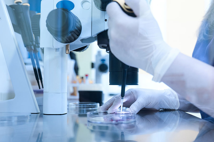 Fine wires for IVF Research